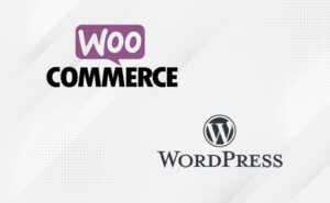 woo-commerce 